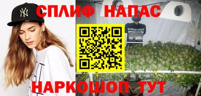 ALPHA PVP Гай