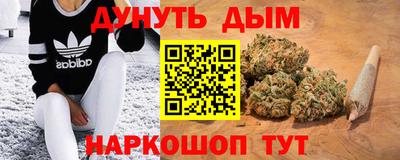 ALPHA PVP Гай