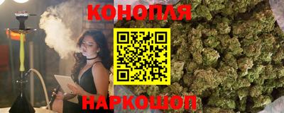 ALPHA PVP Гай
