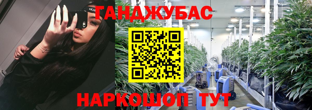 Шишки марихуана Amnesia Вязники